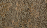 Autumn Pecan