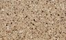 Autumn Pecan