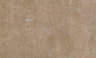 Blushing Bronze