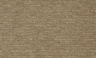 Champagne Shimmer